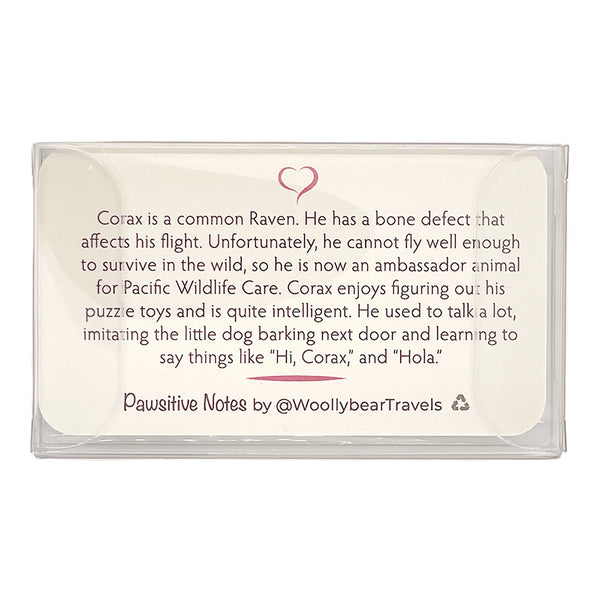 Pawsitive Notes- Corax