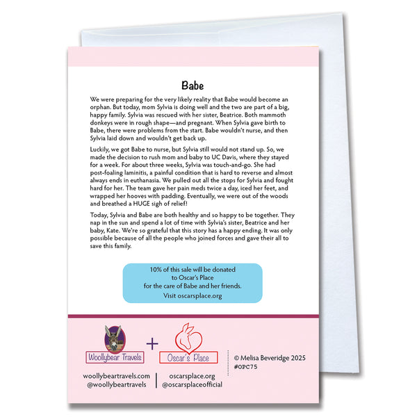 Donkey Greeting Card– Babe