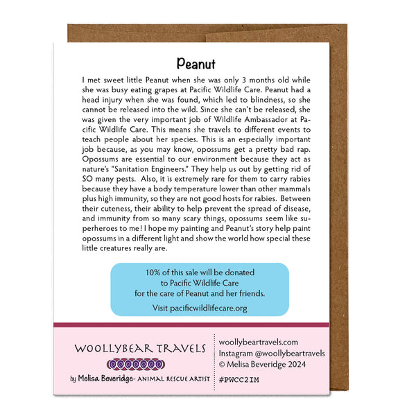 Opossum Greeting Card – Friendship