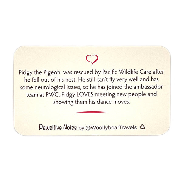 Pawsitive Notes- Pidgy