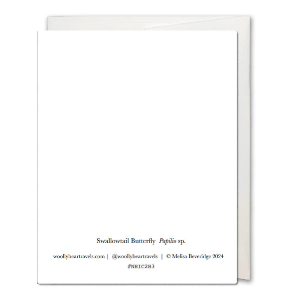 Swallowtail Butterfly Notecard