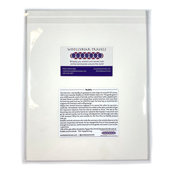 Cow Fine Art Print - Buddha