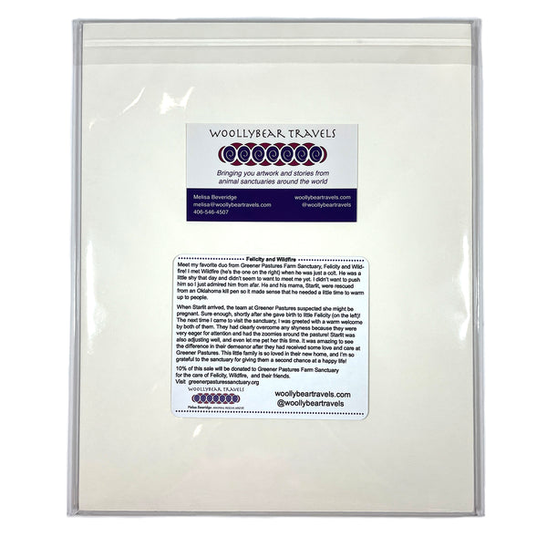 Miniature Horses Fine Art Print – Felicity and Wildfire