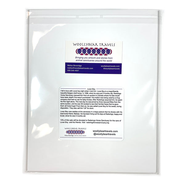 Horse Fine Art Print - Lover Boy