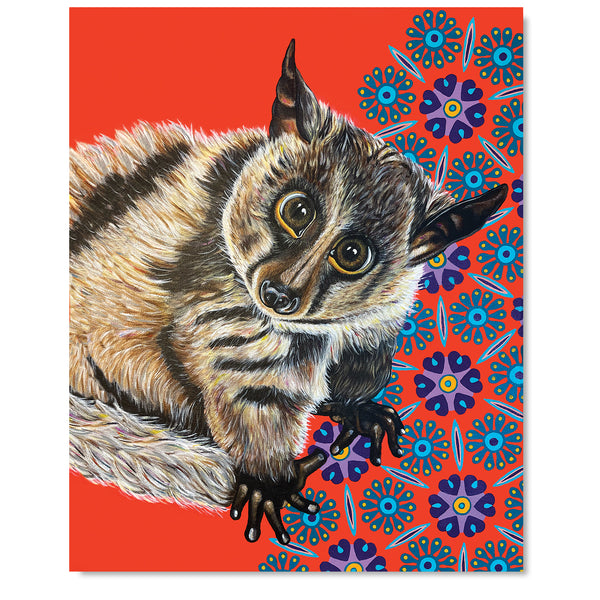 Bushbaby Fine Art Print – Gizmo