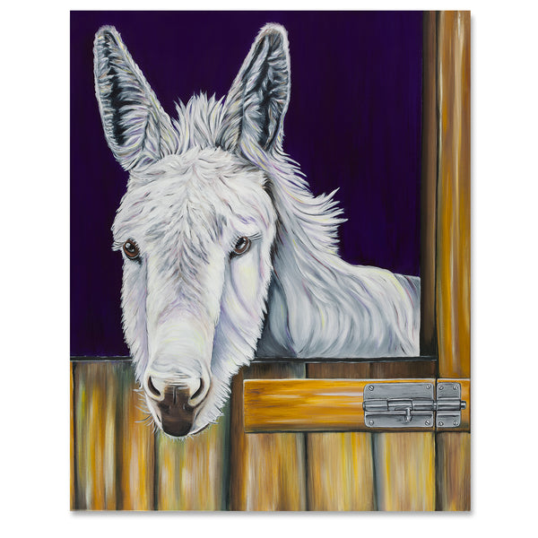 Donkey Fine Art Print - Snowy