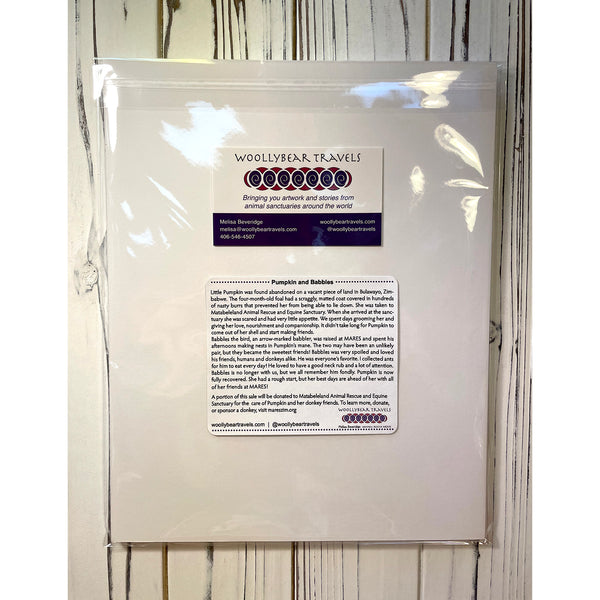 Donkey Fine Art Print – Pumpkin and Babbles