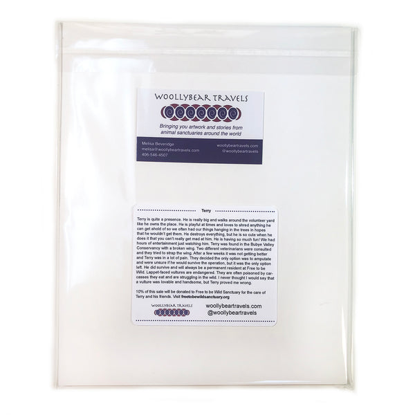 Vulture Fine Art Print – Terry