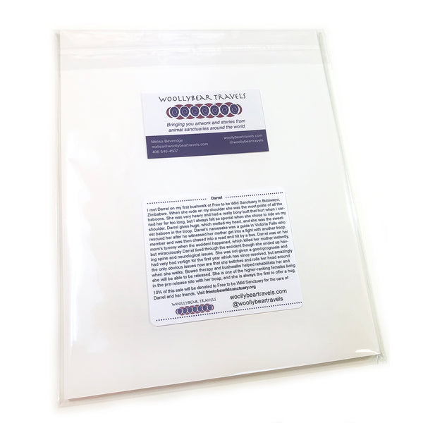 Baboon Fine Art Print - Darrel