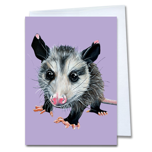 California Rescued Animals Card Set 2