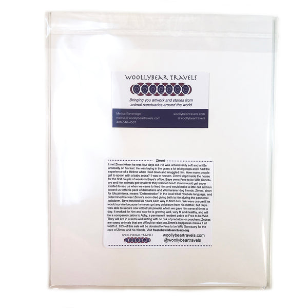 Zebra Fine Art Print – Zimmi